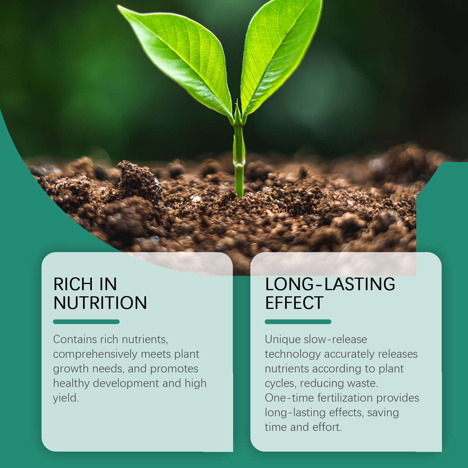 MoonSpry Plant Growth Fertilizer Stick Slow-Release Fertilizer Nutrient Seaweed Fertilizer Plant Growth Horticultural Fertilizer Stick - Image 4