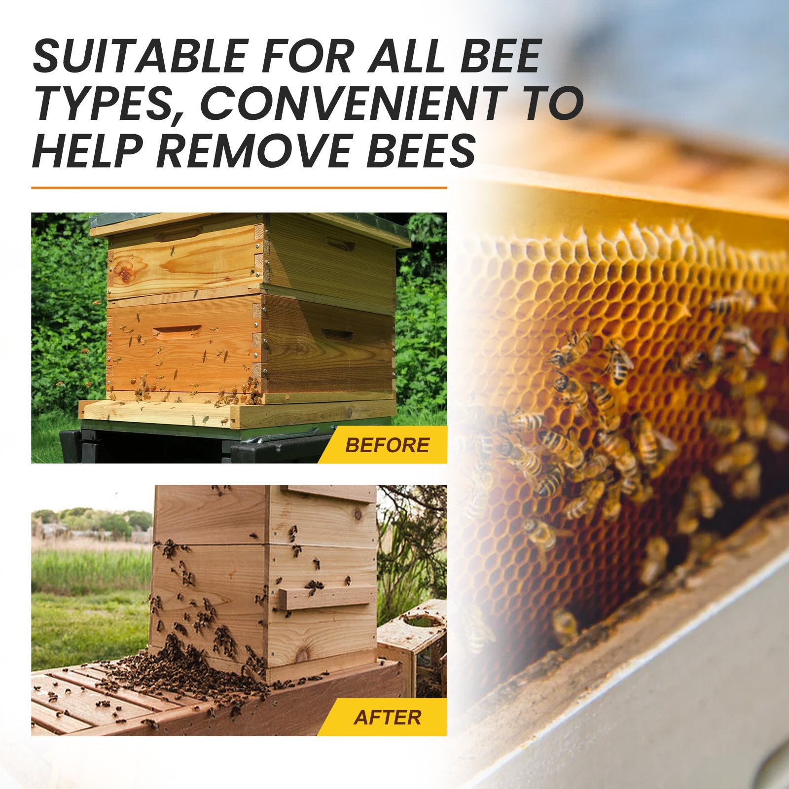 7D2A44E08ADCB8A4F700B96E48E8B541