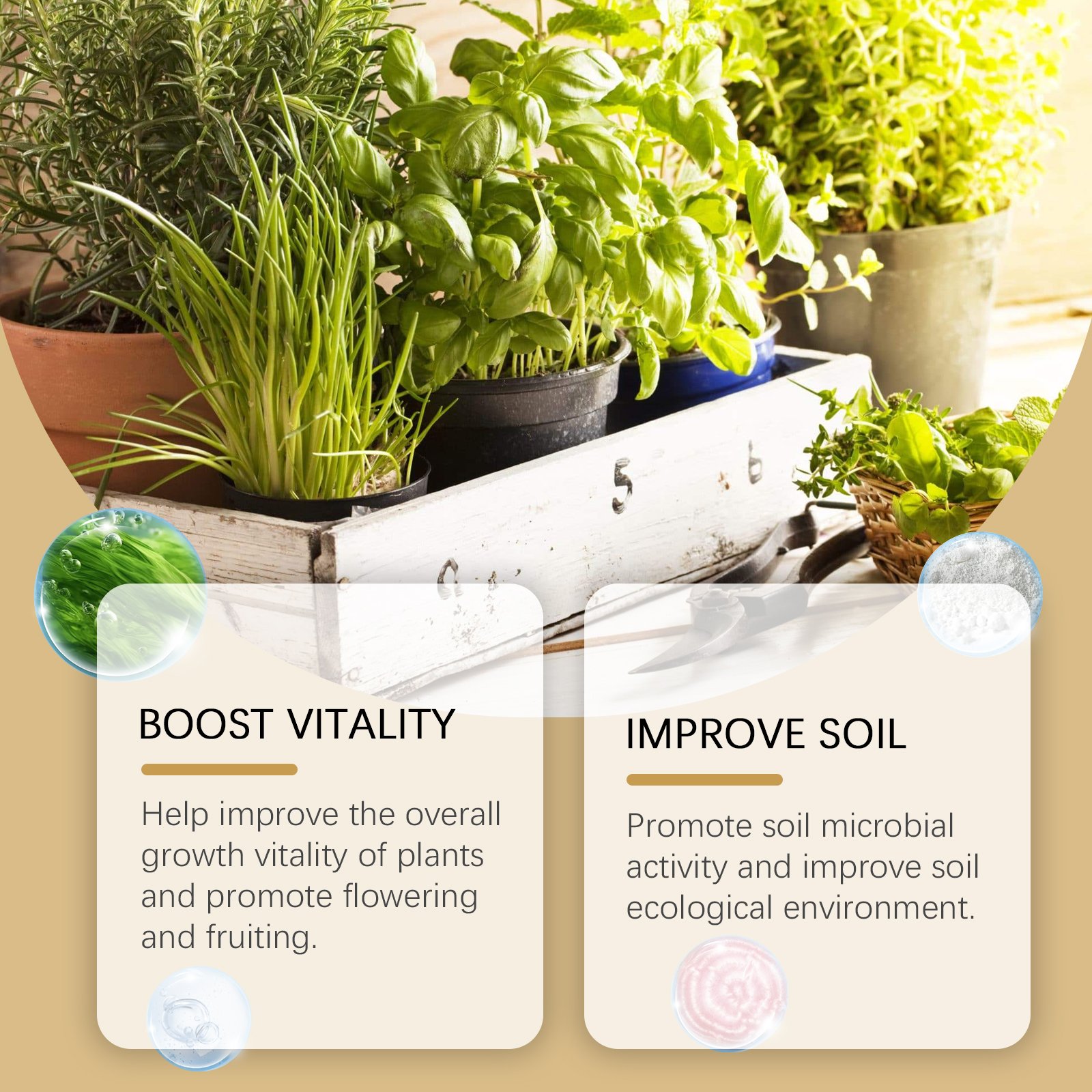 8CB4B0E0AE0F7E7F2D85FBF2202C99DC