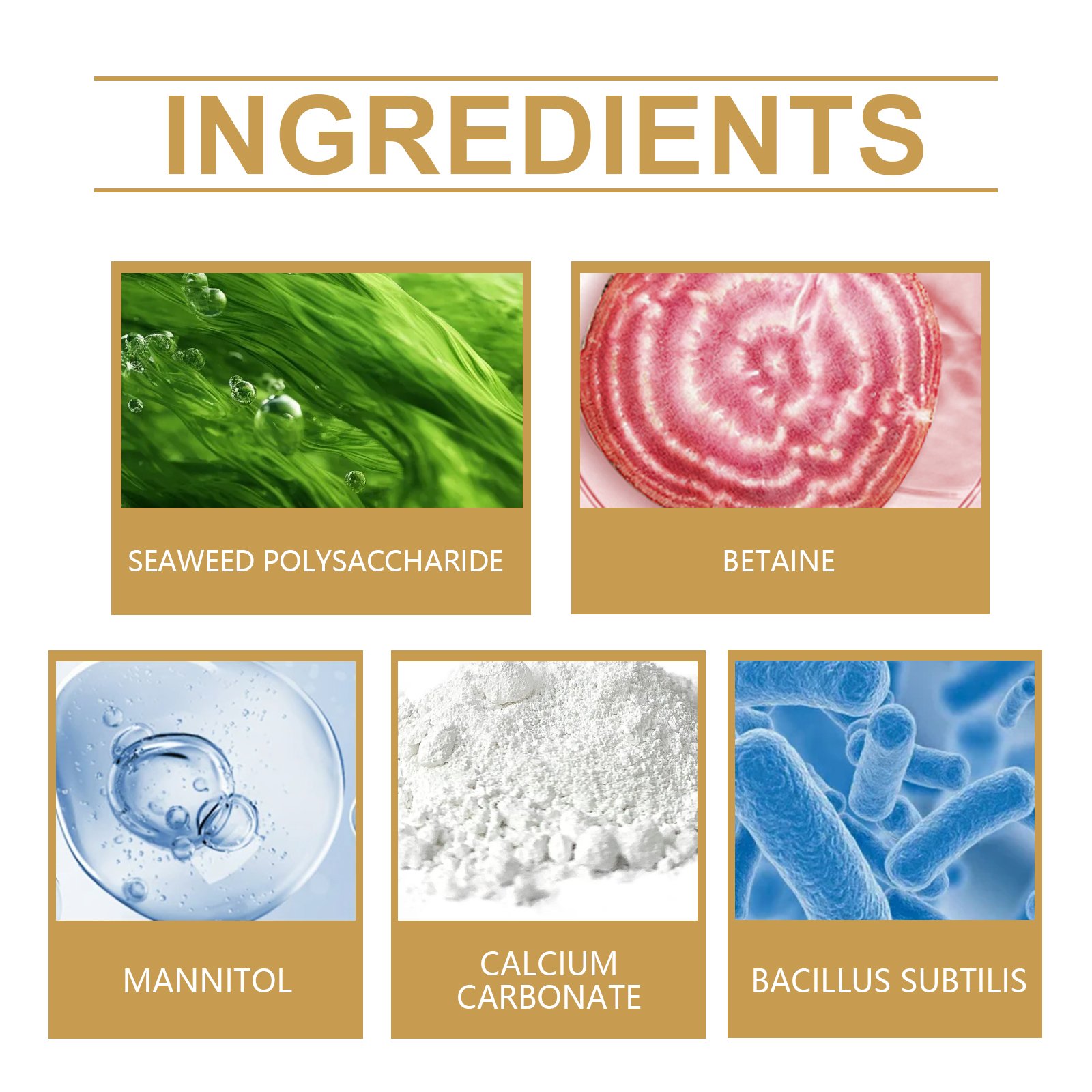 B8D7201630C82CB4E1A4975B6A43C7A6