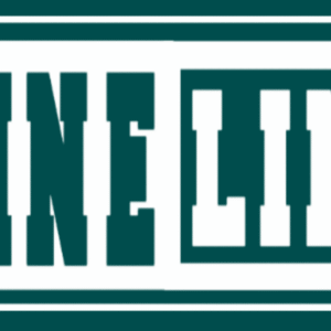 Divinelink1 Product Logo scaled