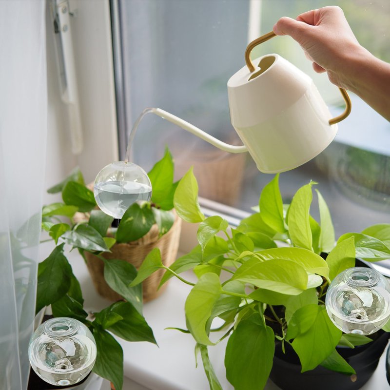 20f9bb1c5aa4465ed6ddf30a5e536006