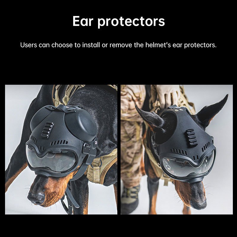 2afdd3472509c88eab785c27a075664a