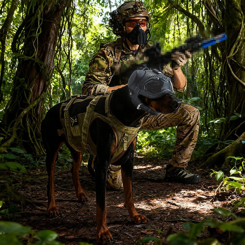 4219b6650a5b655cf6682f2cae87ac24