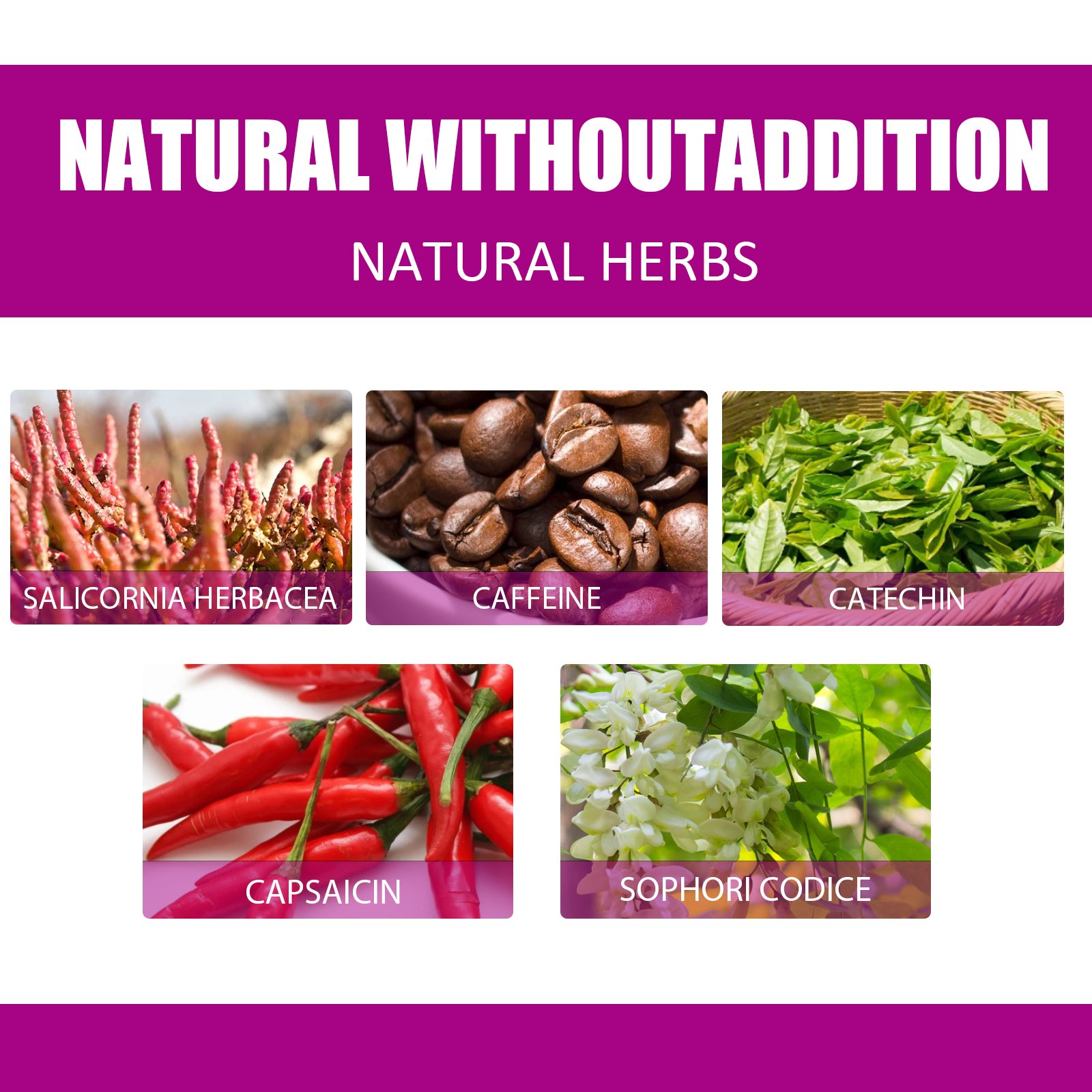 5aab9cb5f112b38d68b56d78b4e63e82 2