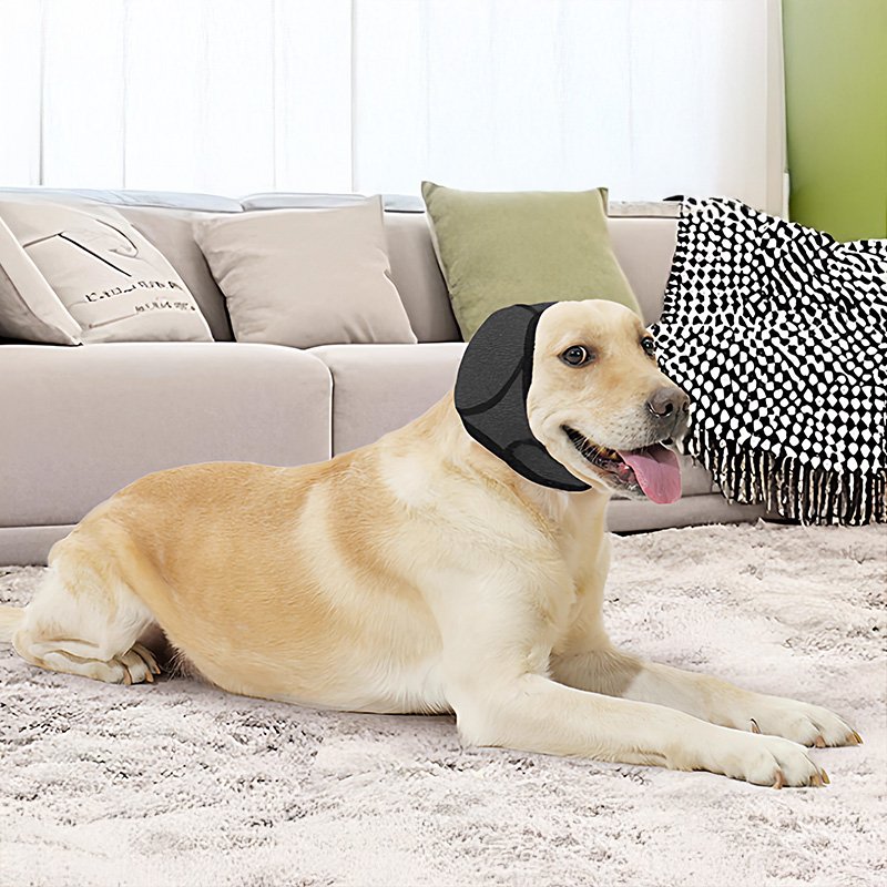 d22228f4646cc13c7950b9b53141dddb