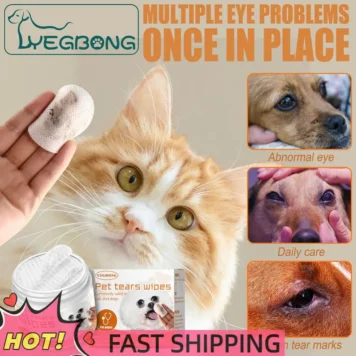 s3e2f0b15ffc742489627021ab7dbc585n 6.webp