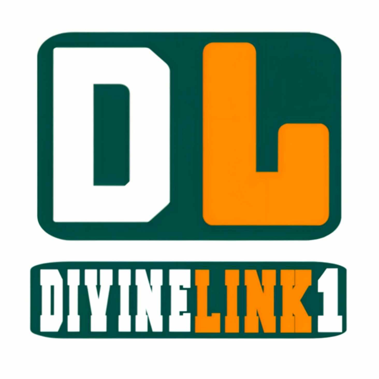 DivineLink1 | Electronics | Fitness | Outsourcing Services